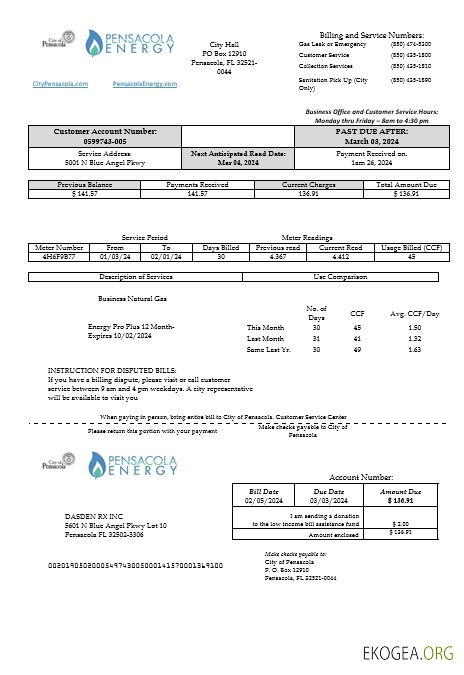 Modèle de facture de services publics d'entreprise USA Florida Pensacola Energy aux formats Word et PDF